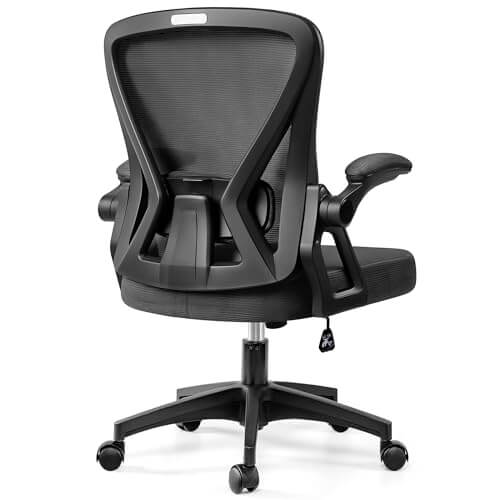 Ergonomic Office Chair with Adjustable Lumbar Support Flip-up Armrests 24-3