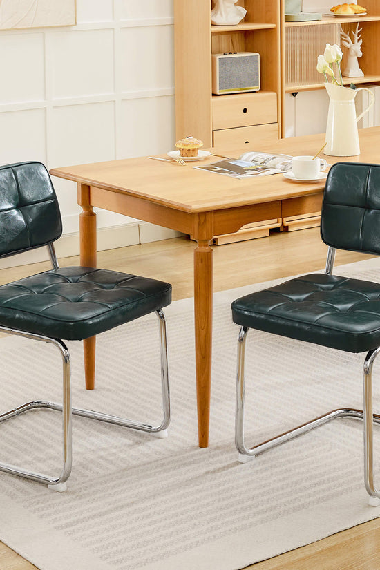 Modern Dining Chairs Set of 2