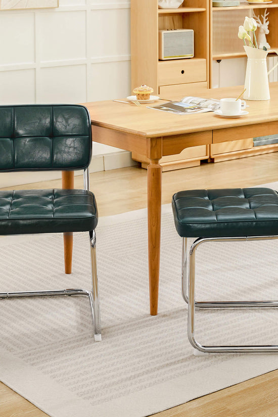 Modern Dining Chairs Set of 2