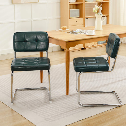 Modern Dining Chairs Set of 2
