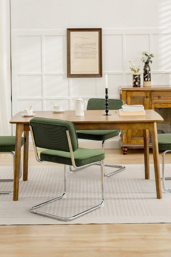 Modern Dining Chairs Set of 2