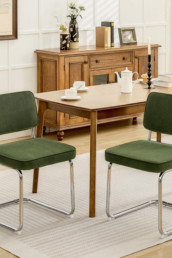 Modern Dining Chairs Set of 2